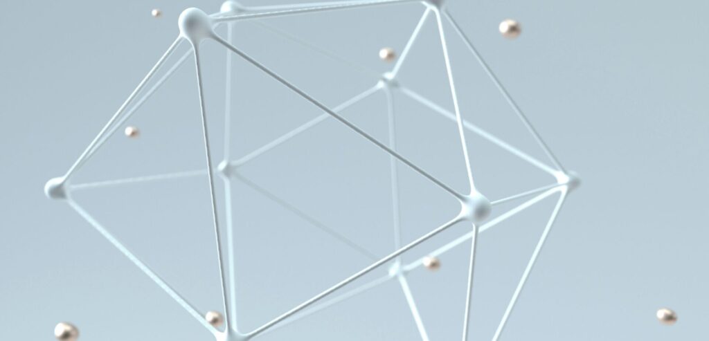 網目構造の画像